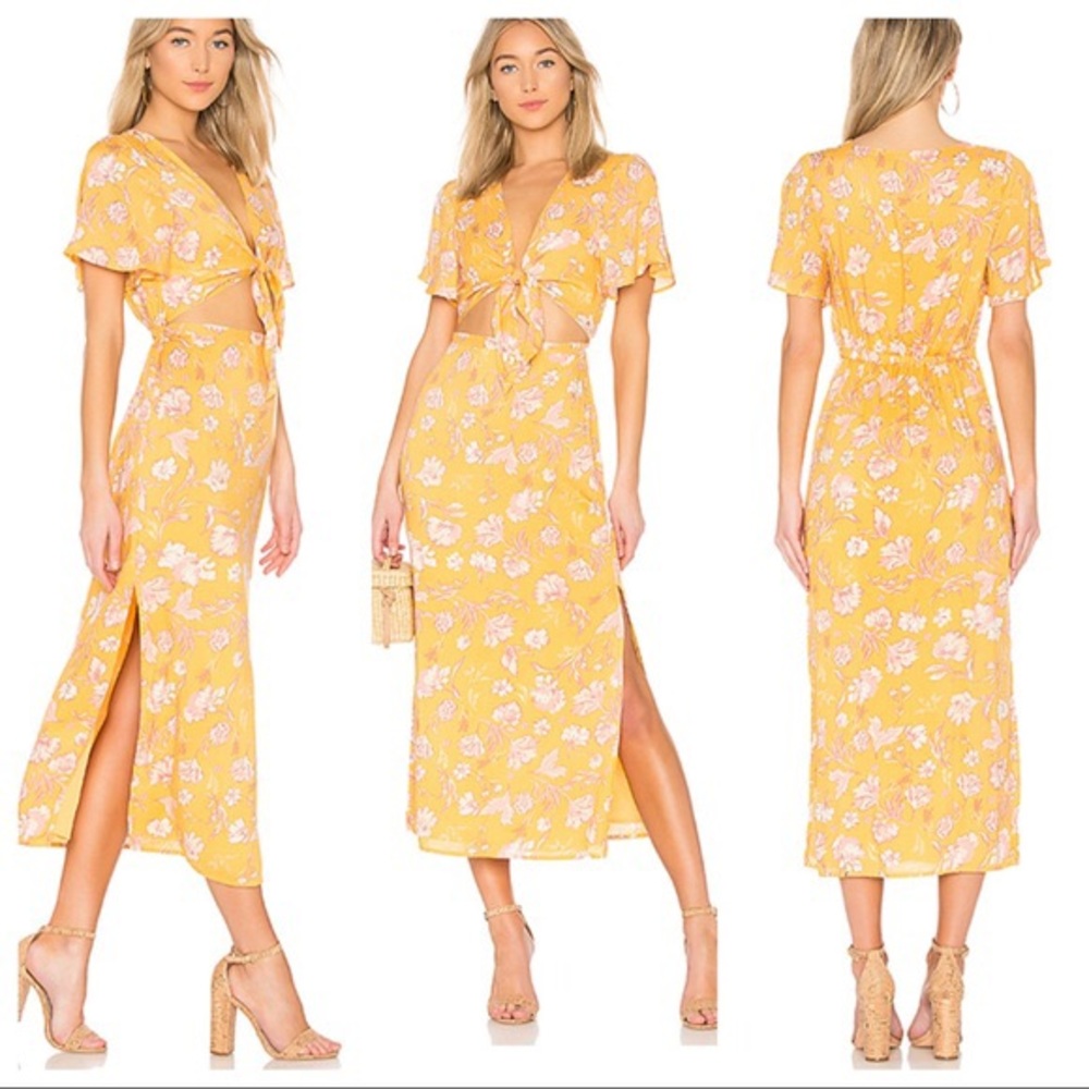 Amuse Society Bohemian Rhapsody Maxi